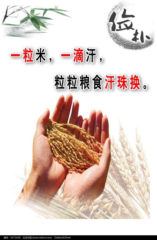 皮里港租房毕业证成绩单认证
